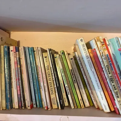Multi-Genre Children's & YA Books Collection