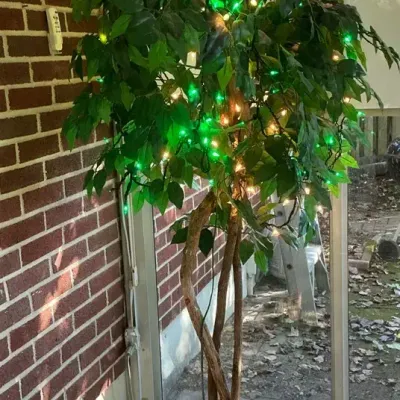 6ft Artificial Ficus Tree with Lights