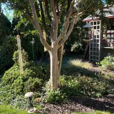 Set Of 5 Bird Feeders 