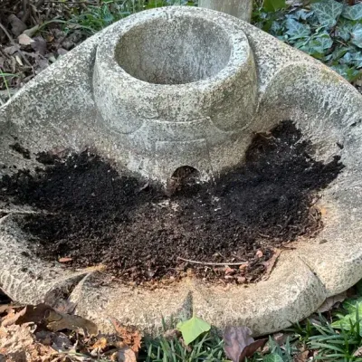 Concrete Shell Garden Fountain Bowl