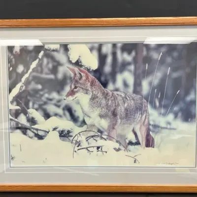 Wolf Photo Print - Thomas D. Mangelsen