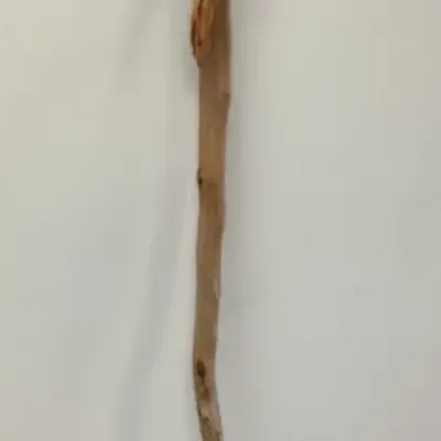 Tree Spirit Walking Stick