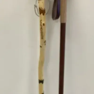 Pair Of Nature Themed Walking Sticks