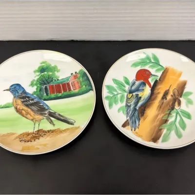 Bird Themed Hand Painted Plates (2)