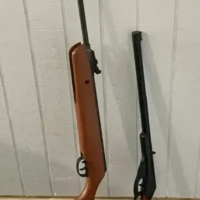 Crosman & Daisy Pellet and BB Air Rifles with Ammunition