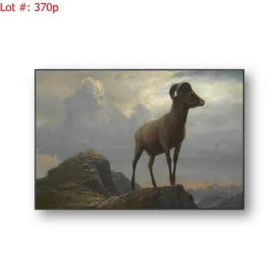 Sale Photo Thumbnail #688