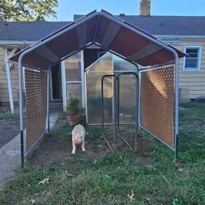 Partially Completed Greenhouse and More