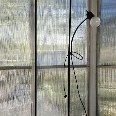 Two Floor Lamps