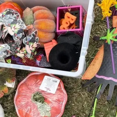 Halloween And Fall Lot Of Decor And Decorations 