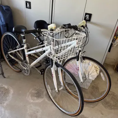 Bicycle Set Of Two Aragon Jamis 