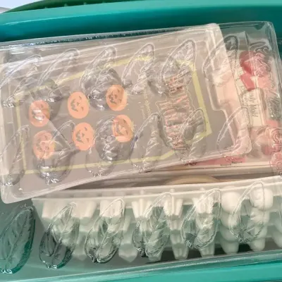 Huge Lot Of Plastic Candy Molds 
