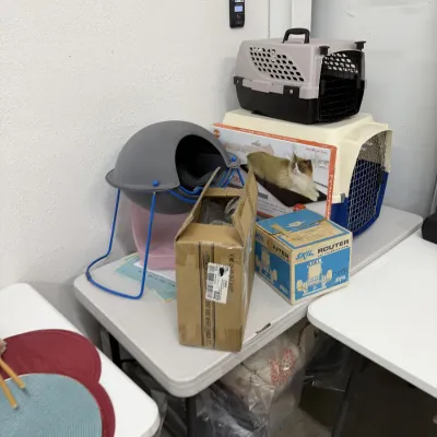 Pet supplies including hard-shell pet carriers, a dome cat bed, and a boxed pet heating pad, displayed alongside power tool boxes.