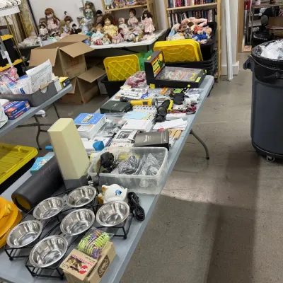 Household items, pet supplies, electronics, and vintage porcelain dolls.