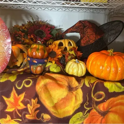 Fall & Halloween Seasonal Decor Lot