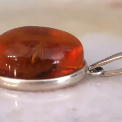 Faux And Real Amber Pendant With Encased Insect