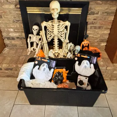 Sale Photo Thumbnail #322: Halloween Skeletons, Ghost Decor & Tote