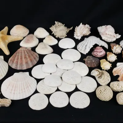 Sale Photo Thumbnail #157