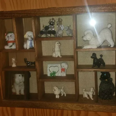 Sale Photo Thumbnail #75