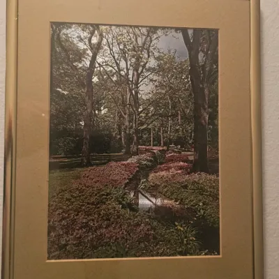 Sale Photo Thumbnail #89