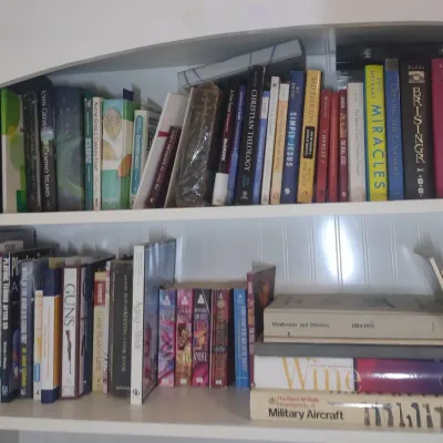 Two Shelves Of Great Books