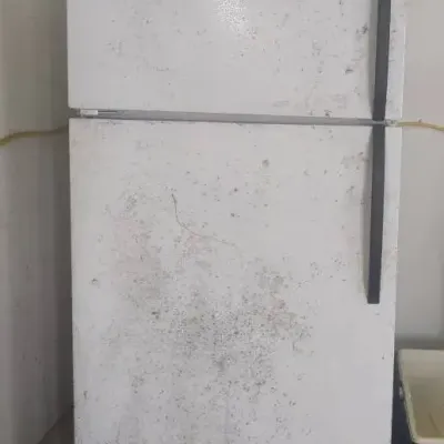 Frigidaire Garage Fridge