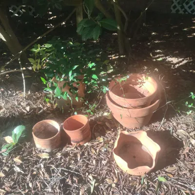 Clay Pot Collection 
