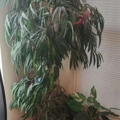 Faux Plants In Woven Baskets
