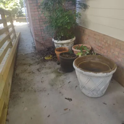 Poly Pots Collection 