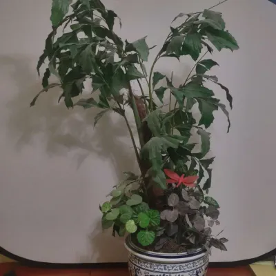 Asian Inspired  Ceramic Pot With Faux Foliage
