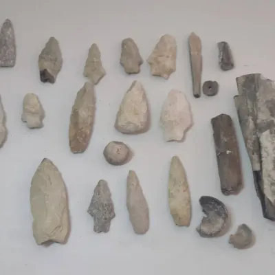 Arrowheads And Fossils