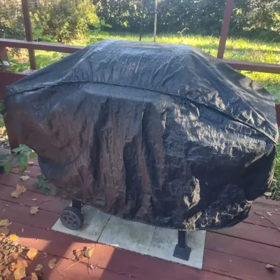 Charbroil Propane Grill
