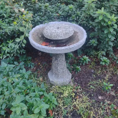 Fountain Birdbath