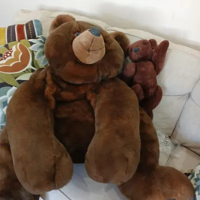 Large plush brown teddy bear seated on a couch, paired with a smaller dark brown stuffed bear.