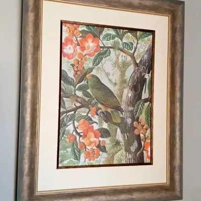 Framed botanical art print depicting a parrot perched among tropical flora, presented in a double-matted silver and bronze-toned wooden...