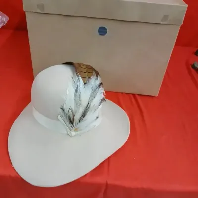 Vintage beige felt hat trimmed with a wide band and prominent pheasant feather arrangement, displayed alongside its original cardboard...