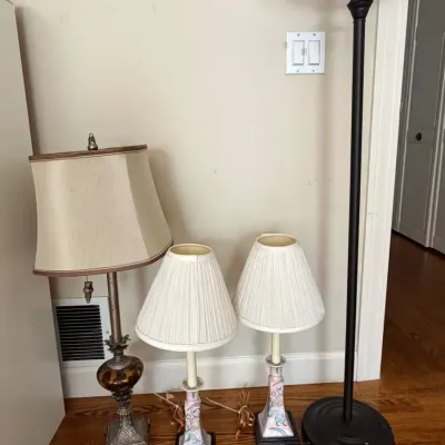 Vintage Lighting Collection: Hand-Painted Chinoiserie Pair, Ornate Marbled Glass Accent Lamp & Moder