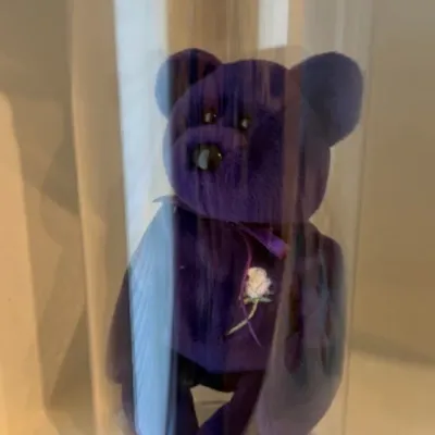 TY Beanie Babies Princess Diana Memorial Purple Bear with Rose Emblem & Display Case