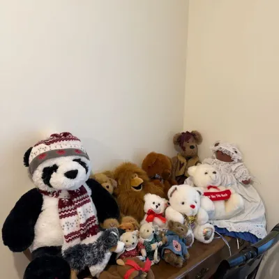 Large Assortment of Collectible Teddy Bears, Plush Animals & Decorative Stuffed Dolls