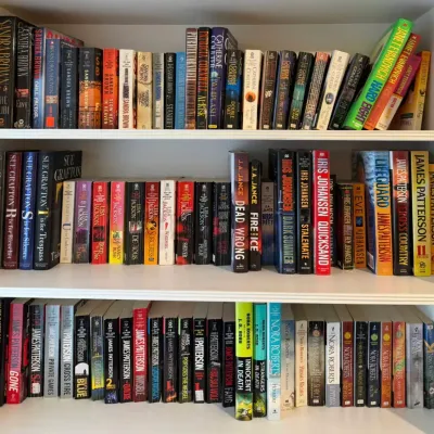 Large Lot Mystery & Thriller Novels - Patterson, Roberts, Brown, Grafton, Johansen & More