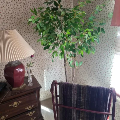 Sale Photo Thumbnail #142