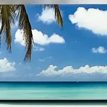 Sale Photo Thumbnail #908