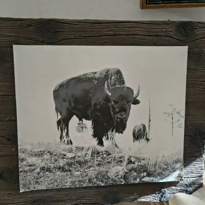 Sale Photo Thumbnail #237