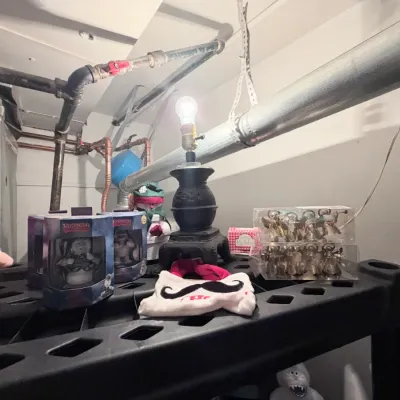 Sale Photo Thumbnail #440