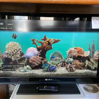 WORKING 37" Sony TV With Roku