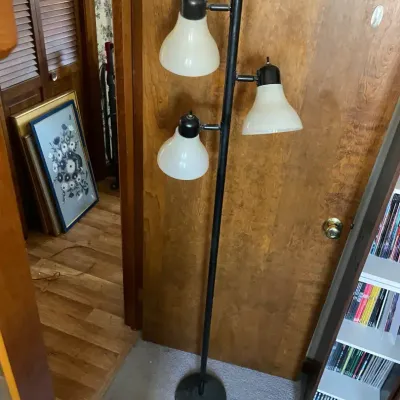 Adjustable Floor Lamp
