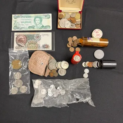 Mystery Lot Coin Collection (Exact Amounts Not Known)