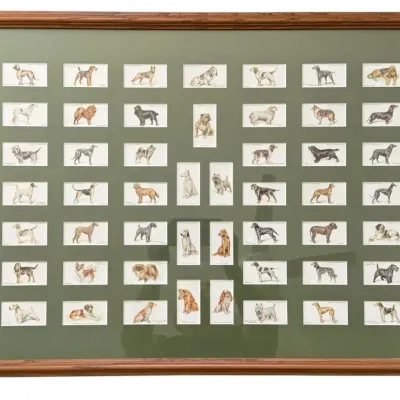John Player & Sons Cigarette Cards Featuring Dogs By Arthur Wardle 29" x 21"
