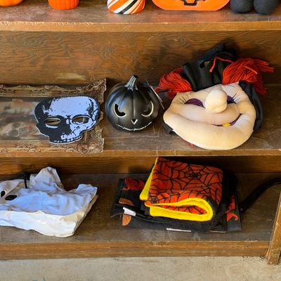 Sale Photo Thumbnail #142: Collection of Halloween decor and masks displayed on wooden shelving, including a black jack-o'-lantern, skull mask, plush witch mask, and spiderweb textiles.