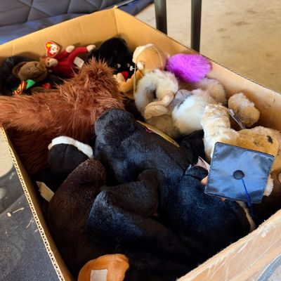 Cardboard box filled with vintage plush toys and stuffed animals, including Ty Beanie Babies.