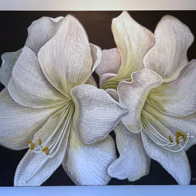 Sale Photo Thumbnail #208: Large unframed floral oil painting depicting white amaryllis blossoms on a dark background, signed and dated 'McGulpin 1996' in the lower right corner.